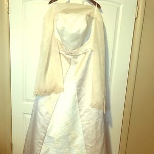 David’s Bridal Gown Champagne & Ivory Size 20W